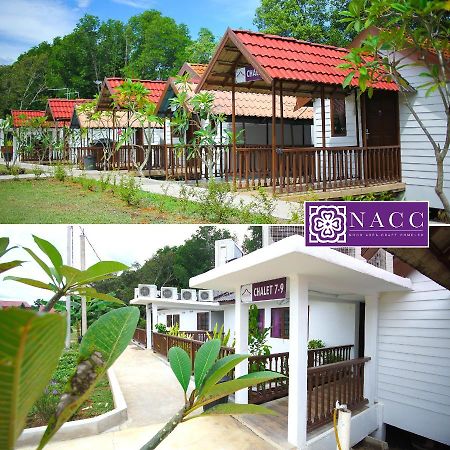 Noor Arfa River Chalet Kuala Terengganu Eksteriør bilde